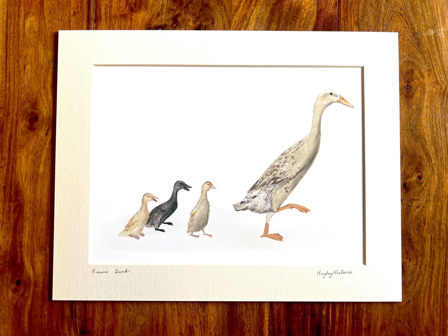 Runner Ducks Art Print – White Duck and Ducklings Illustration – Rustic Animal Wall Art for Cottage or Kitchen Decor