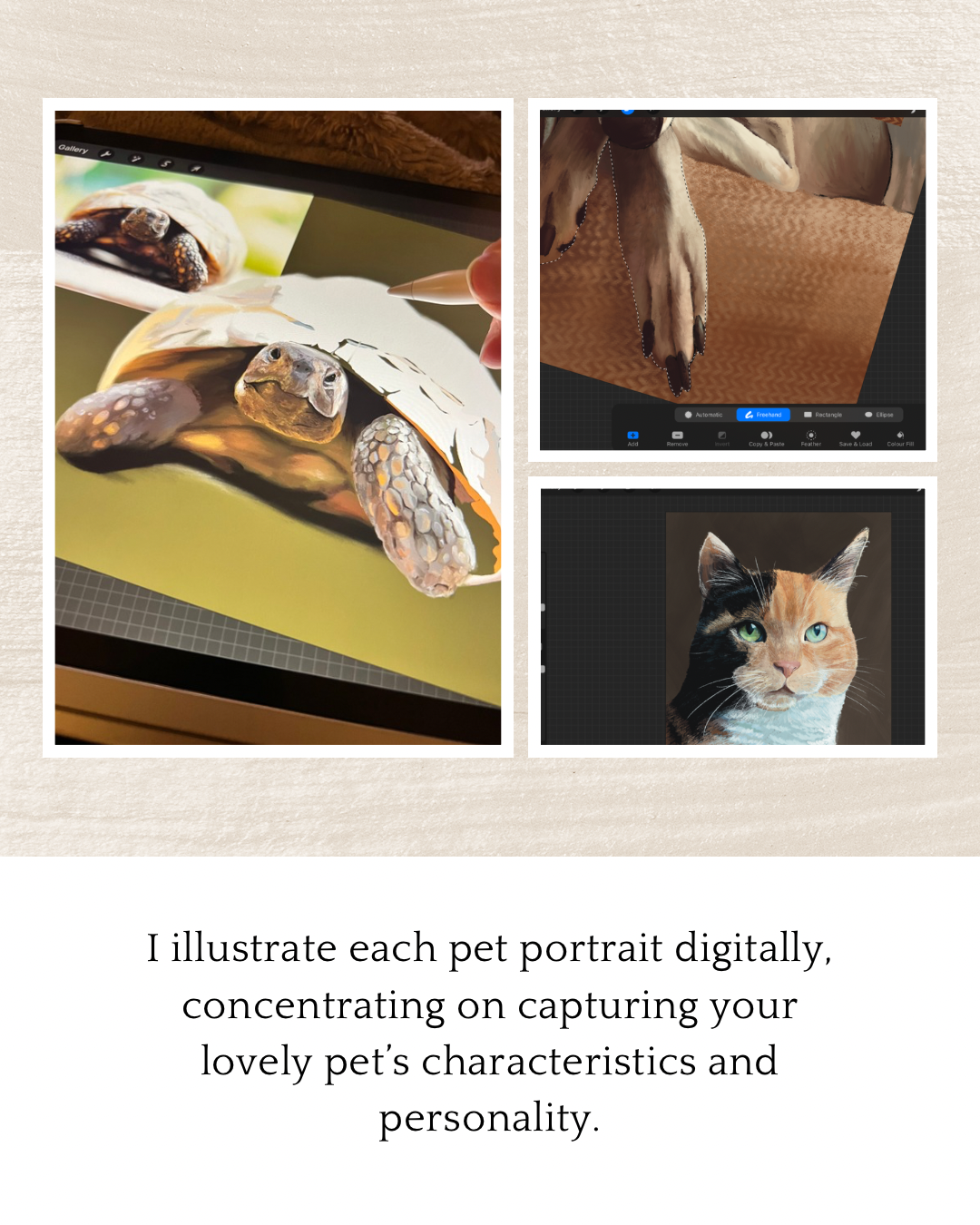 Custom Reptile Portrait: Hand-Drawn A4 Art Print in 11”x14” Mount