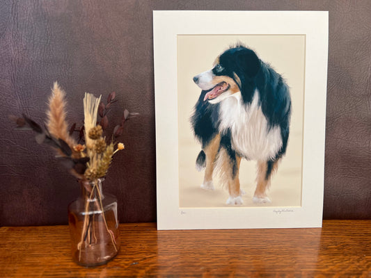 Custom border collie pet portrait print in 11x14 mount, displayed on desk, personalised dog portrait from photo by UK artist