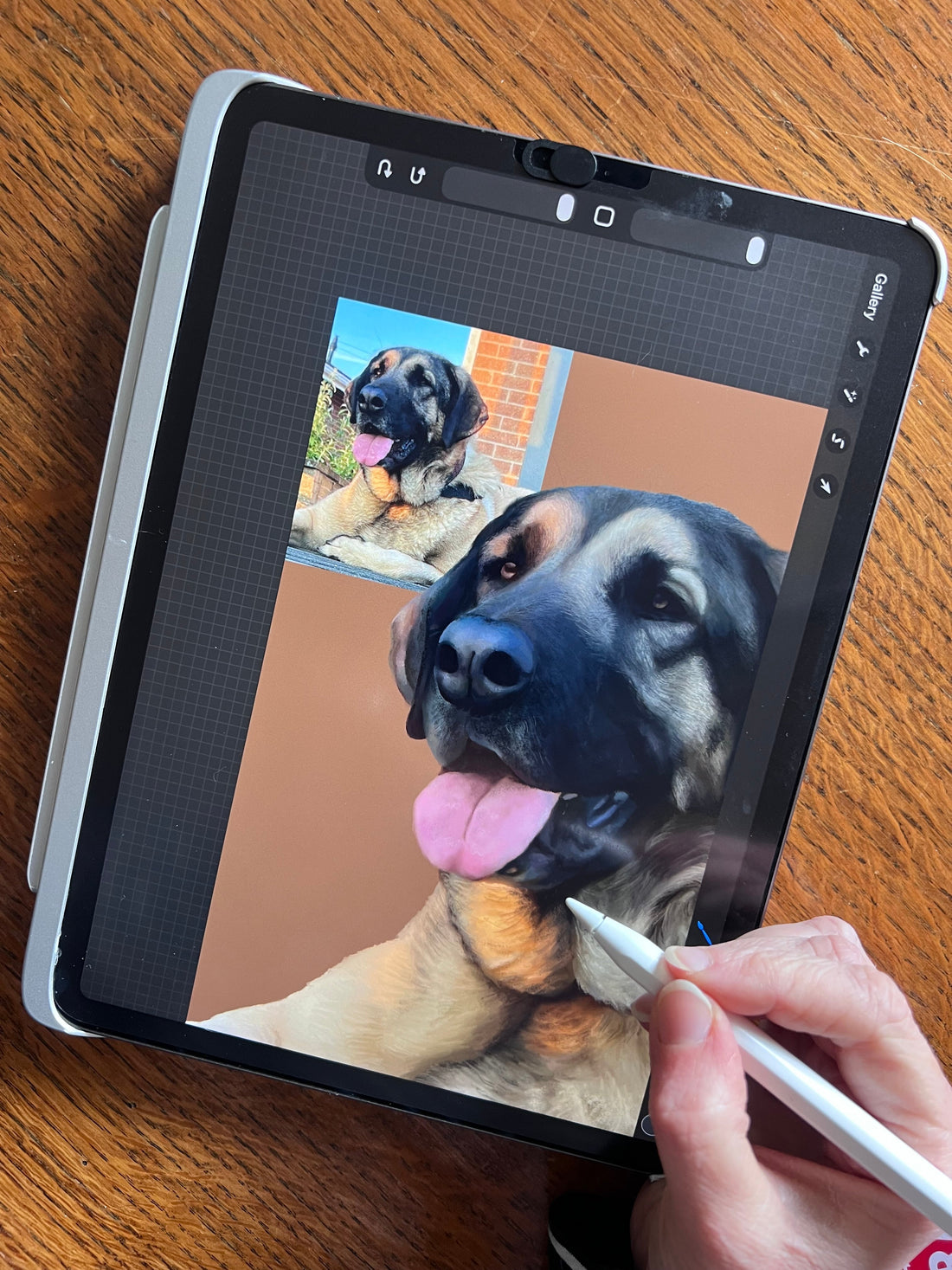 Creating a custom pet portrait from photos – hand drawing a dog portrait by a UK pet portrait artist.