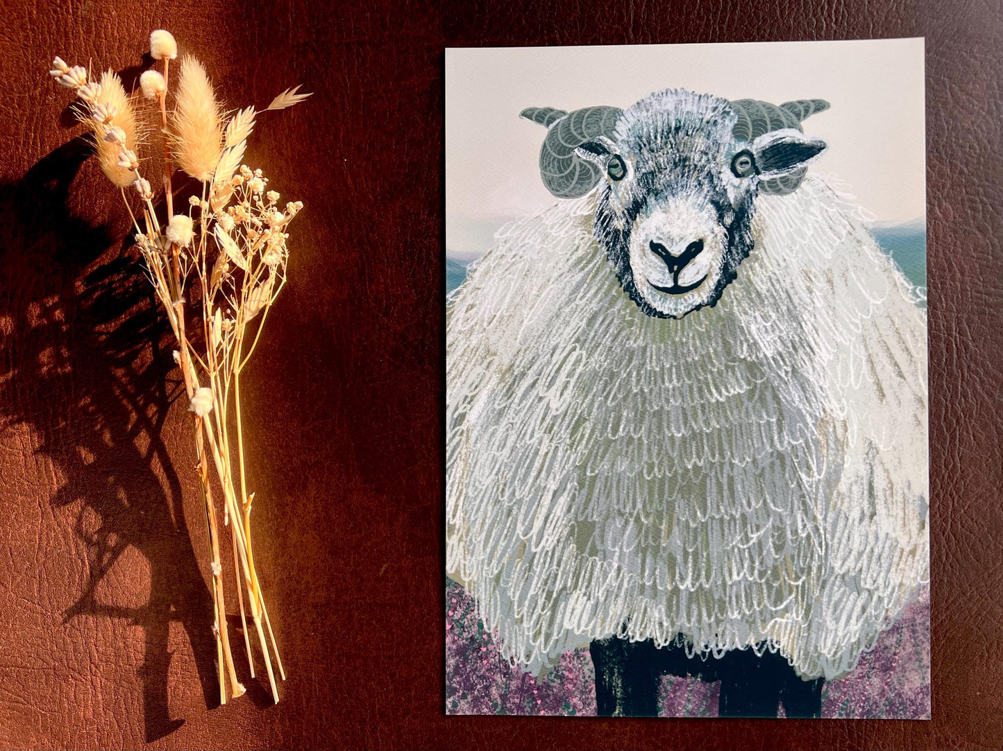 Swaledale Sheep Art Print – Close-Up Sheep Illustration – Fun Countryside Wall Art for Rustic Interiors