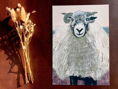 Swaledale Sheep Art Print – Close-Up Sheep Illustration – Fun Countryside Wall Art for Rustic Interiors