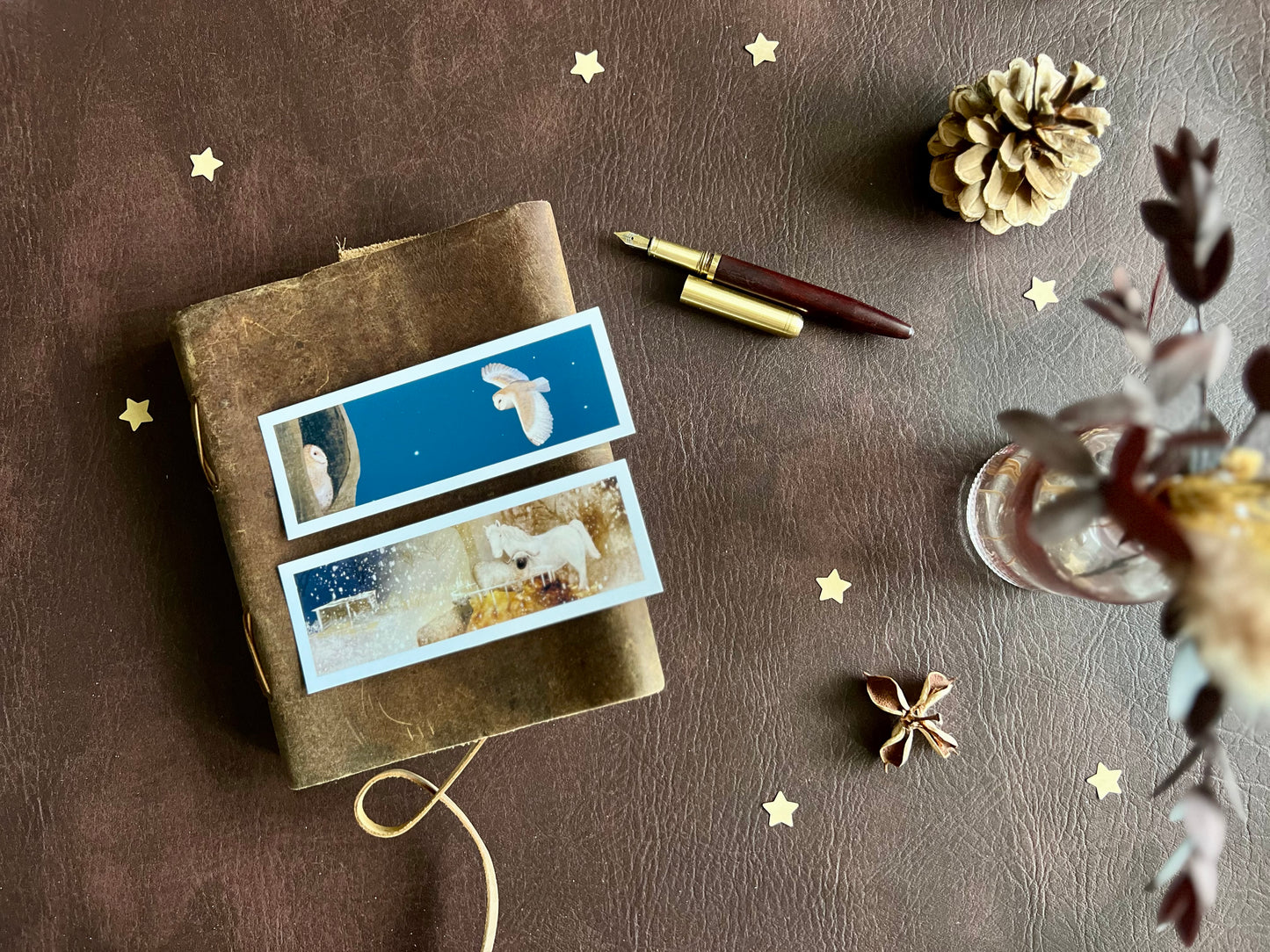 Animals at Night Bookmarks