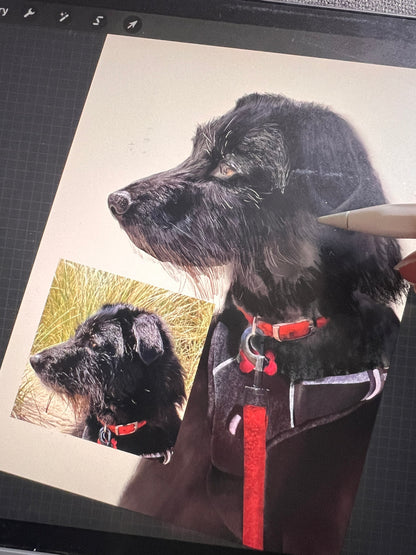 Custom Dog Portrait