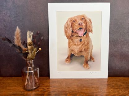Custom Dog Portrait