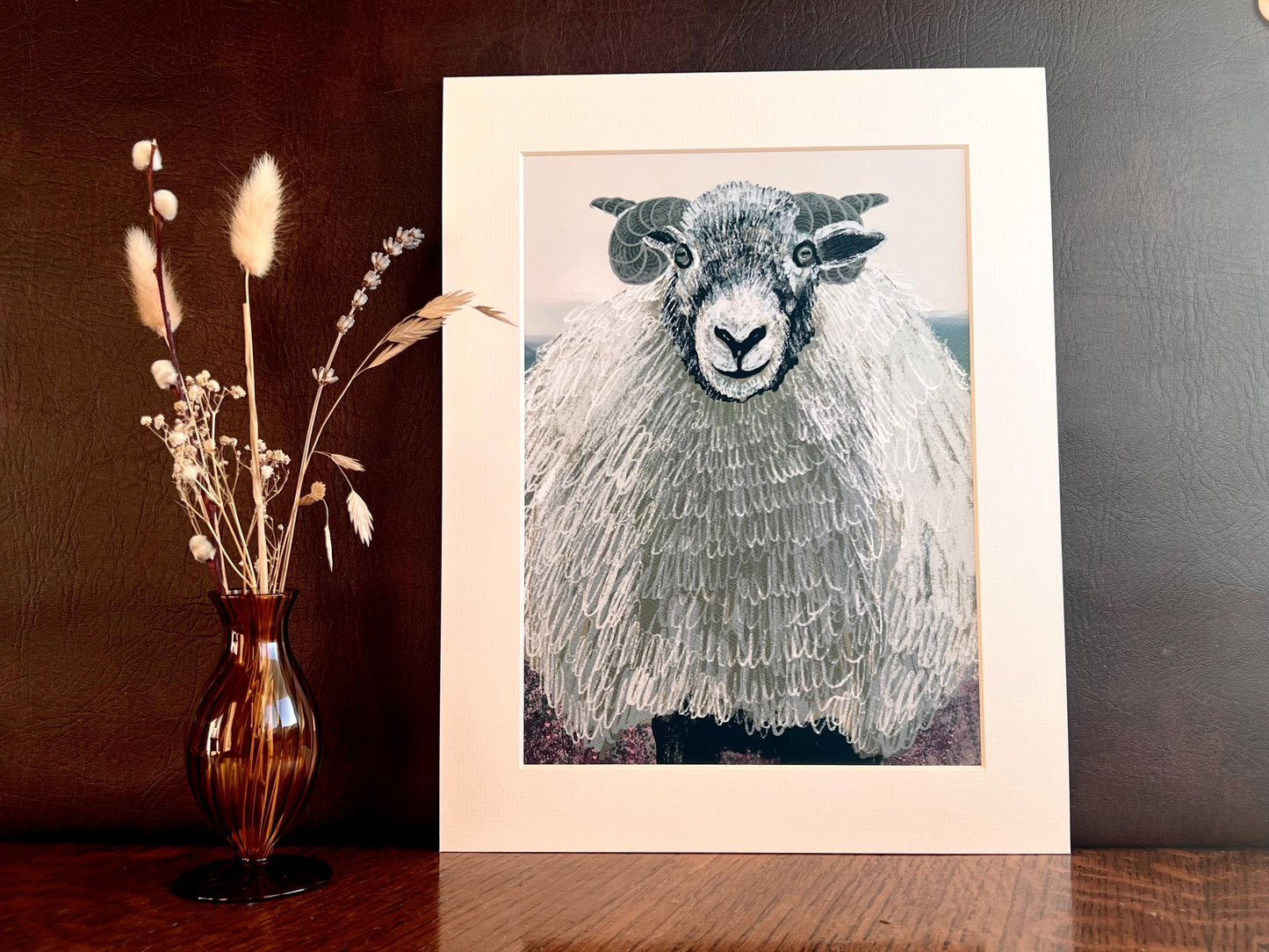 Swaledale Sheep Art Print – Close-Up Sheep Illustration – Fun Countryside Wall Art for Rustic Interiors