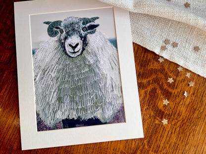 Swaledale Sheep Art Print – Close-Up Sheep Illustration – Fun Countryside Wall Art for Rustic Interiors