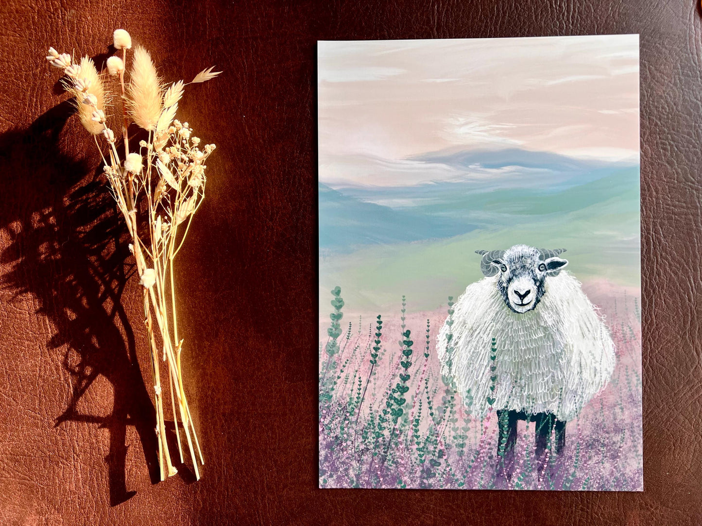 Swaledale Sheep Art Print – Yorkshire Dales Landscape Illustration – Rustic Countryside Animal Wall Art