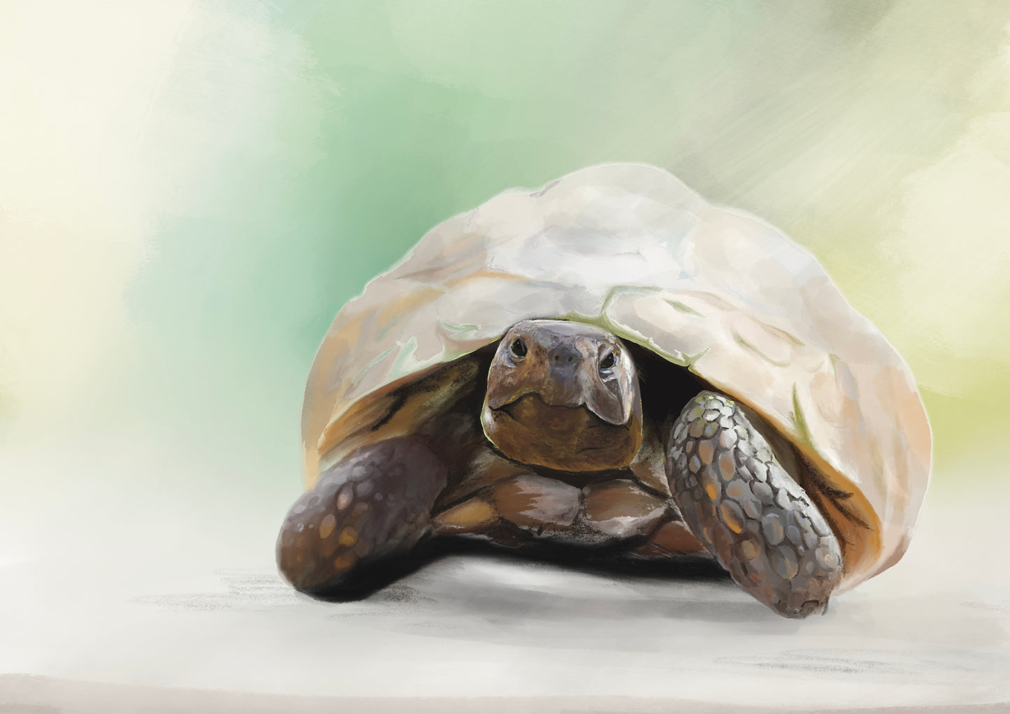 Custom Reptile Portrait: Hand-Drawn A4 Art Print in 11”x14” Mount