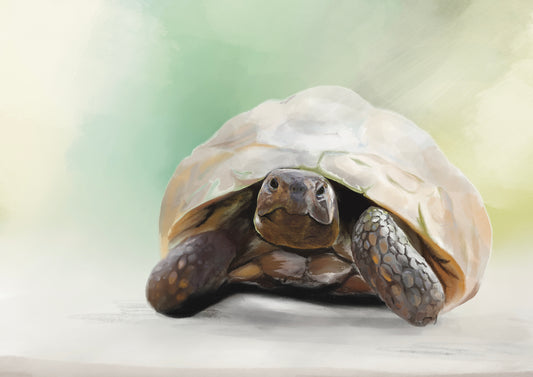 Custom Reptile Portrait: Hand-Drawn A4 Art Print in 11”x14” Mount