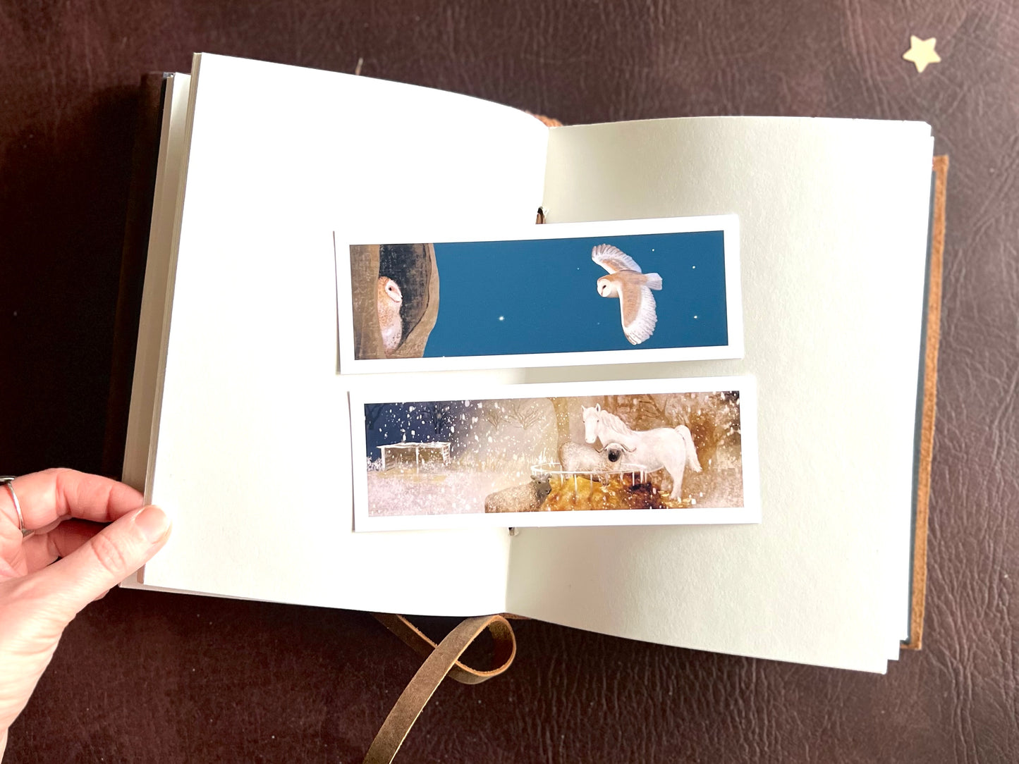 Animals at Night Bookmarks