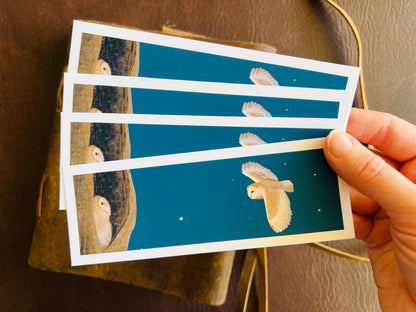 Owls at Night Bookmarks (Pack of 4)