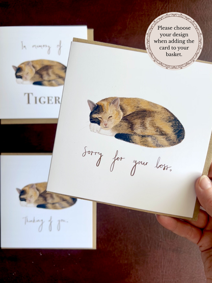 Three calico cat sympathy card designs displayed together, including “Sorry for your loss”, “Thinking of you”, and personalised “In memory of” options, featuring a sleeping tortoiseshell and white cat illustration.