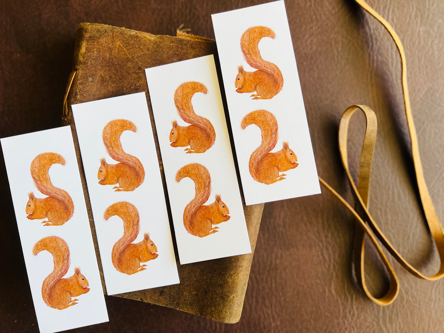 Red Squirrel Bookmarks (Pack of 4)