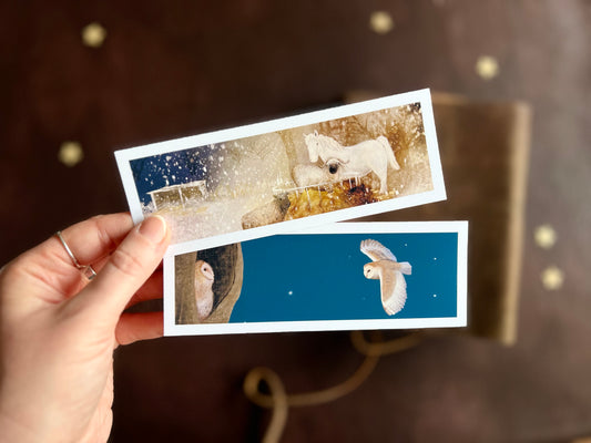 Animals at Night Bookmarks