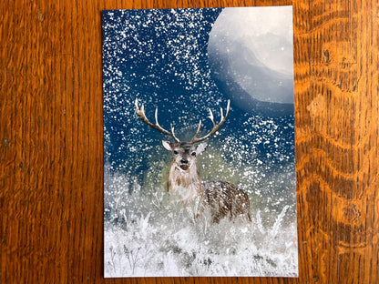 A4 Winter Deer Art Print – Woodland Night Scene