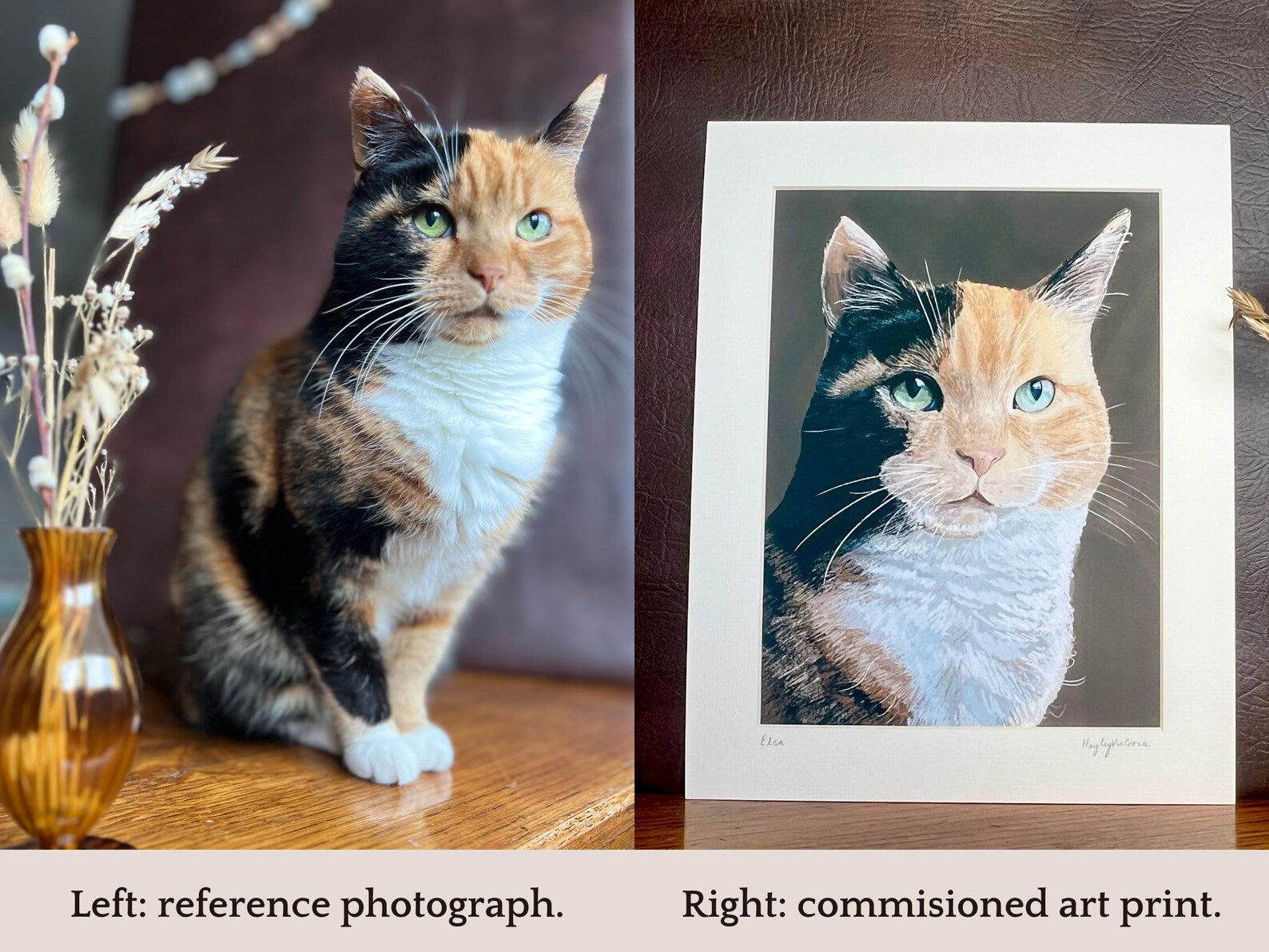 Before and after comparison of custom cat pet portrait, showing original cat photograph alongside finished printed and mounted artwork, digital illustration from photo