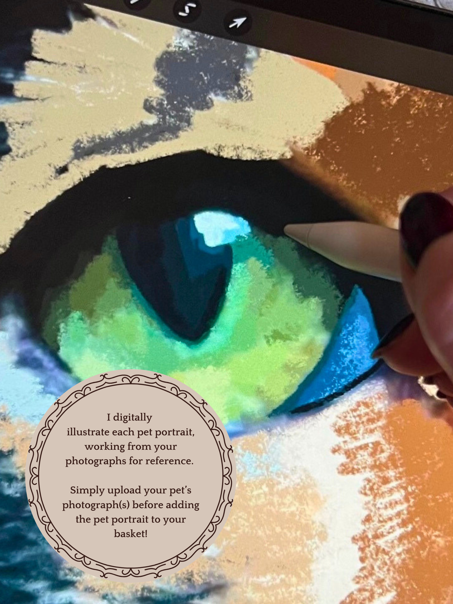 Close up of artist digitally drawing realistic cat pet portrait eye detail, custom cat illustration created from customer uploaded photo, online ordering process explained