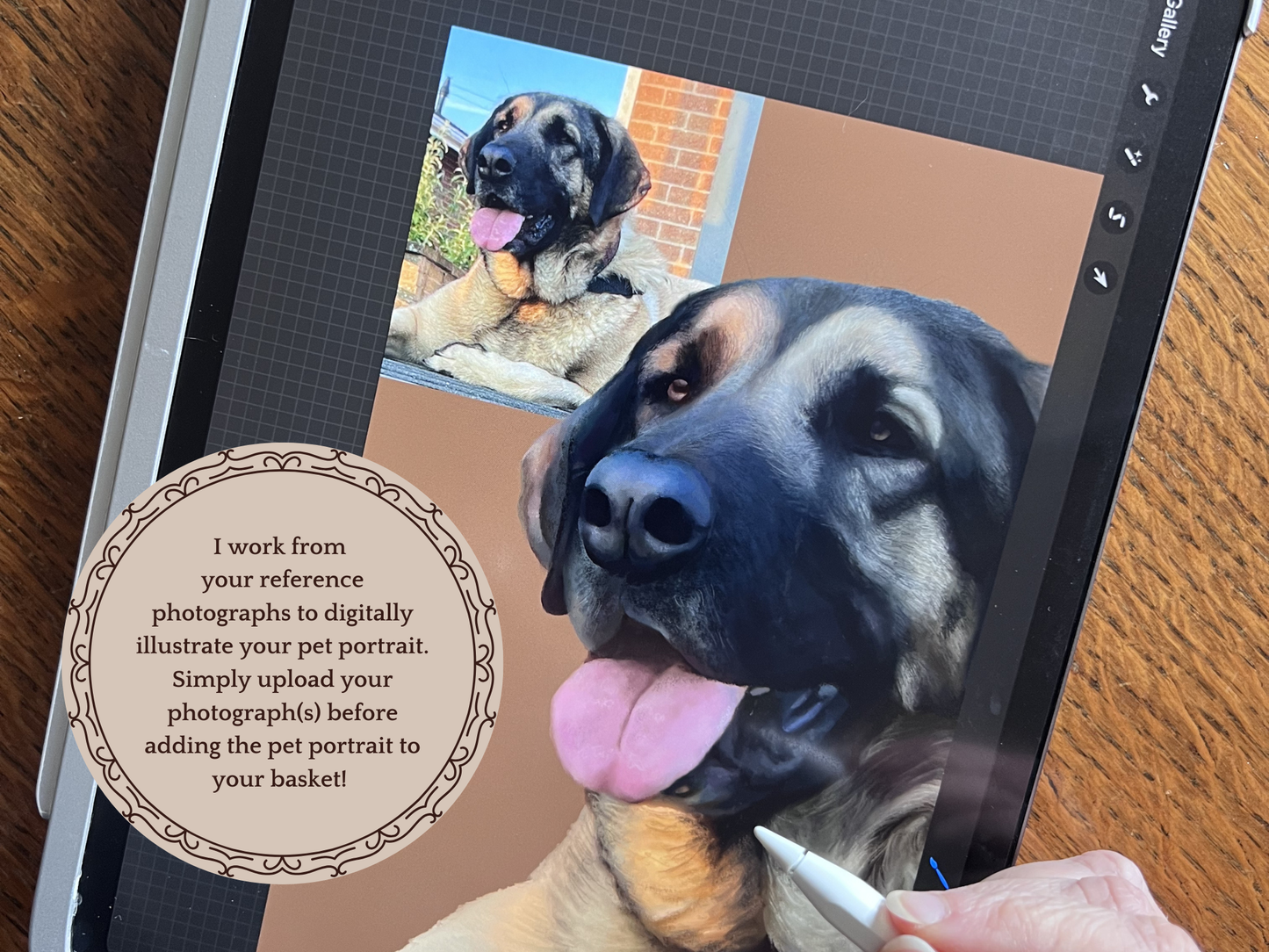Artist digitally drawing custom pet portrait from reference photo, showing side by side illustration process and customer photo, simple ordering process for personalised pet portraits online