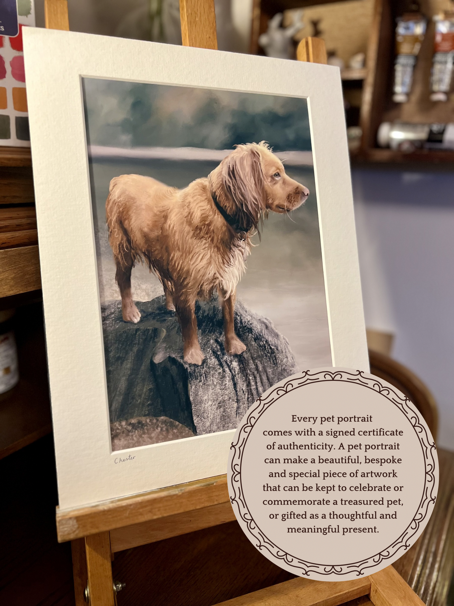 Custom springer spaniel pet portrait print in 11x14 mount, golden dog artwork beside lake setting with certificate of authenticity and personalised pet memorial gift information
