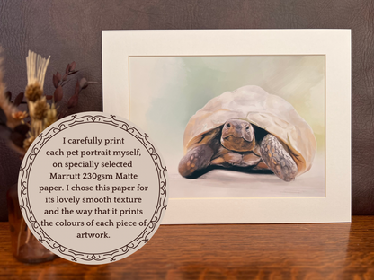 Custom tortoise pet portrait print in 11x14 slip mount displayed on desk, printed by artist on high quality matte paper, personalised reptile artwork