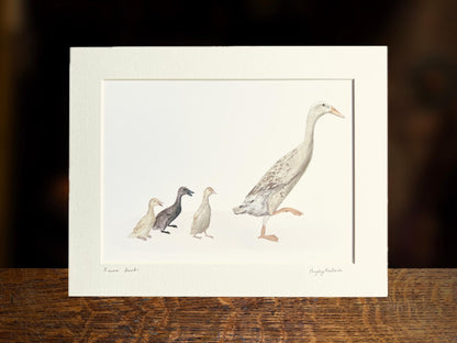 Runner Ducks Art Print – White Duck and Ducklings Illustration – Rustic Animal Wall Art for Cottage or Kitchen Decor
