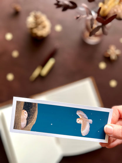 Illustrated bookmark showing a barn owl flying towards its fluffy chick at night. Woodland themed background with sketchbook, pine cones, and kraft paper stars. Part of a 16 pack animal bookmark set for wedding favours.