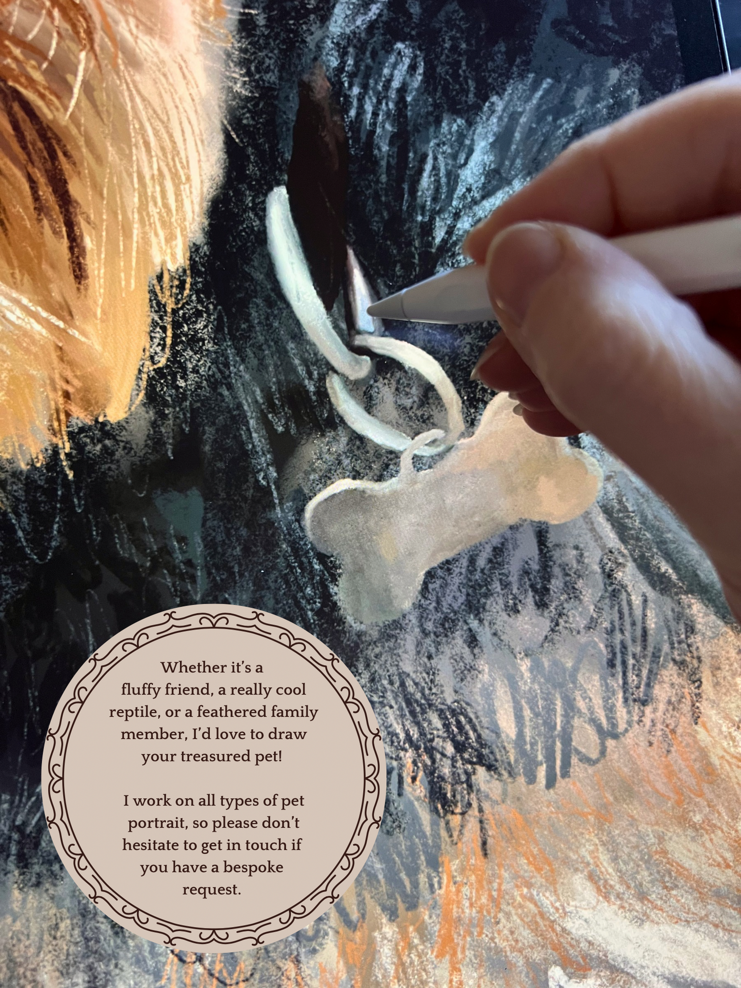 Close up of artist digitally drawing custom pet portrait, showing illustration process for dog, cat, reptile, rabbit, fish, horse and parrot portraits